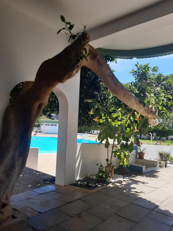 פורטימאו Apartamento Da Avo Te - Em Frente A Praia C Piscina מראה חיצוני תמונה